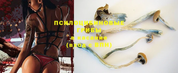 ПСИЛОЦИБИНОВЫЕ ГРИБЫ Навашино
